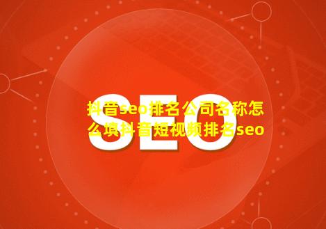 抖音seo排名公司名称怎么填(抖音短视频排名seo)