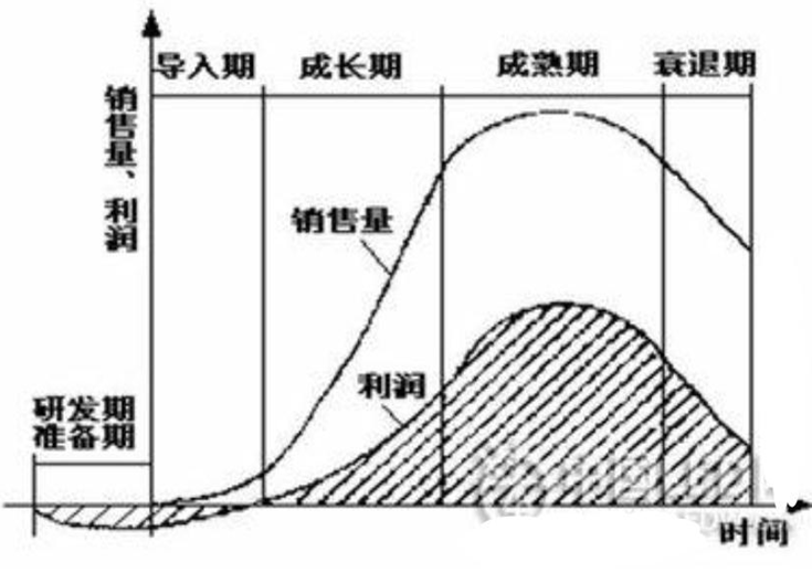 00910网络经济与企业管理