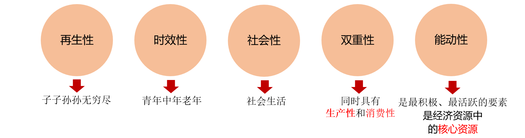 00910网络经济与企业管理